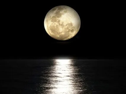 Deep Sleep Relaxing Music (1 Hour)