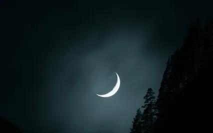 Deep Sleep: Remembering Beautiful Past