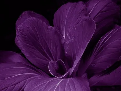 Deep Sleep - Rest, Heal & Receive