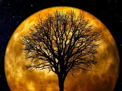 Deep Sleep - Restful Nights