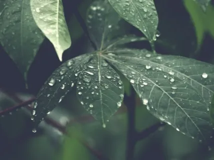 Deep Sleep - Revitalize Then Dream