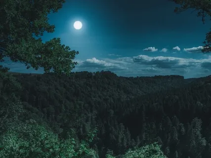 Deep Sleep Right Now, Meditation Music + Delta 3Hz Binaural 