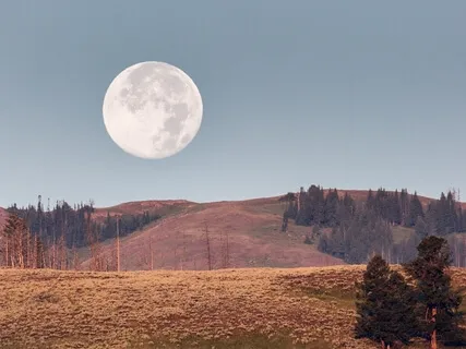 Deep Sleep - Serene Feeling