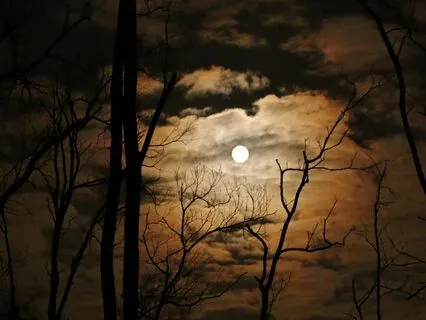 Deep Sleep - Serene Stardust