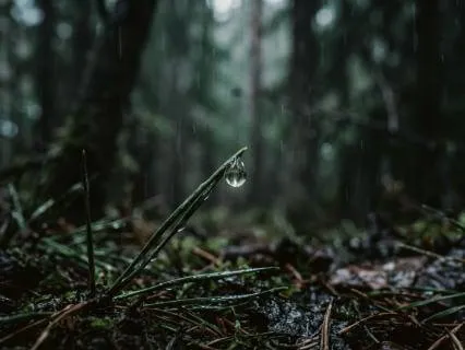 Deep Sleep Session: Peaceful & Reflective Ambient Soundscape