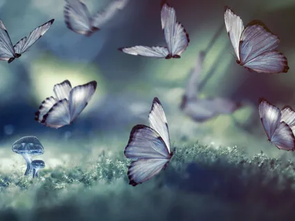 Deep Sleep - Sleep At Ease 