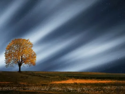 Deep Sleep - Sleep Disorders Remedy 