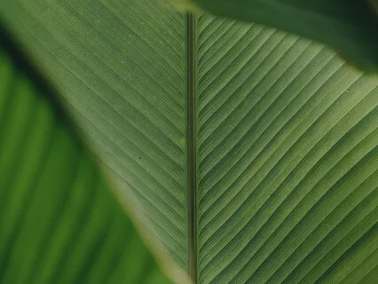 Deep Sleep - Sleep Like Never Before