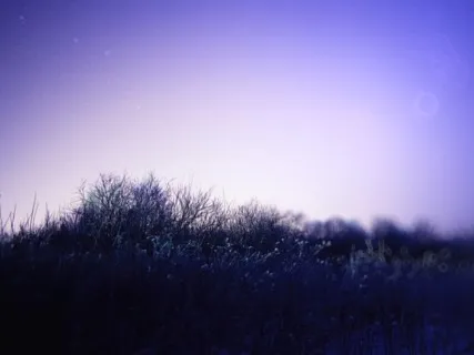 Deep Sleep - Sleep Miracle Music