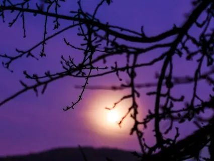 Deep Sleep - Sleep Music For Deep Relaxation