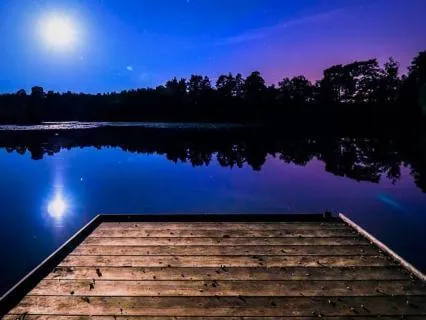 Deep Sleep. Sleeping In A Peaceful And Restorative Forest