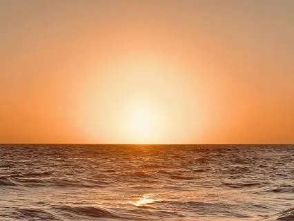 Deep Sleep: Soft Ocean Waves & White Noise (8 Hours)