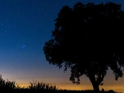 Deep Sleep - Soothing Binaural Beats