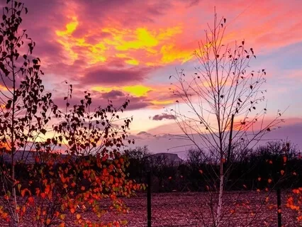 Deep Sleep - Soothing Piano Tone