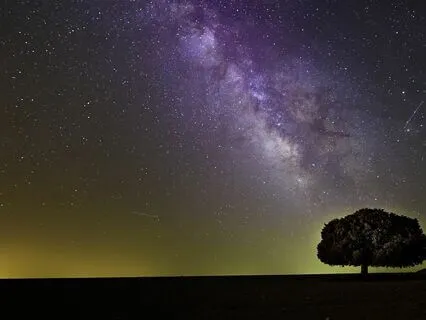 Deep Sleep - Soulful Repose
