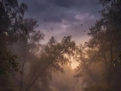 Deep Sleep Sounds with Gentle River