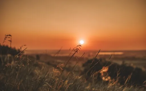 Deep Sleep Soundscape: Fall Asleep Instantly And Sleep Well