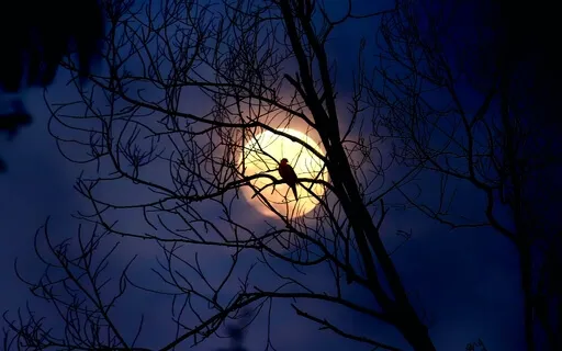 Deep Sleep: Spiritual Replenishment