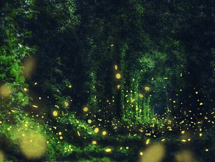 Deep Sleep - Sport Performance  