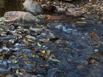 Deep Sleep Stream