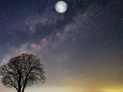 Deep Sleep - Tranquil Lullabies