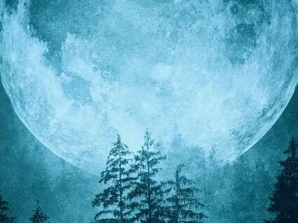 Deep Sleep - Tranquil Repose