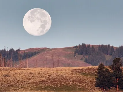 Deep Sleep - Tranquil Waves Of Dreams