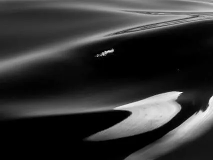 Deep Sleep Transmission: Ocean Breath (Waves & Birds)