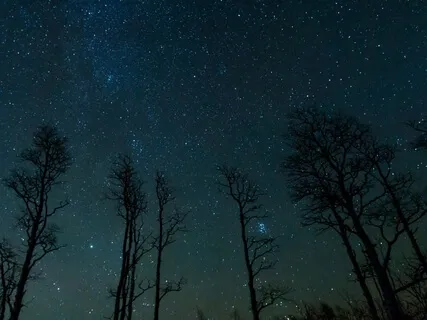 Deep Sleep - Traquil Music For Sleep