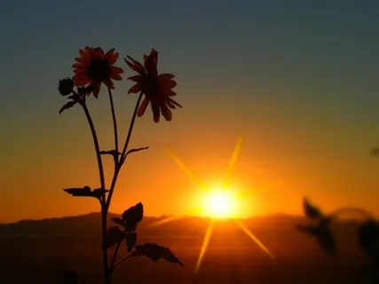 Deep Sleep - Turn On Your Inner Light