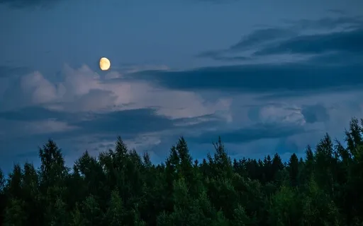 Deep Sleep: Twilight Gaze