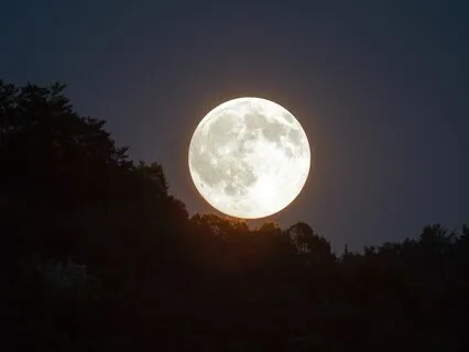 Deep Sleep - Twilight Tranquility