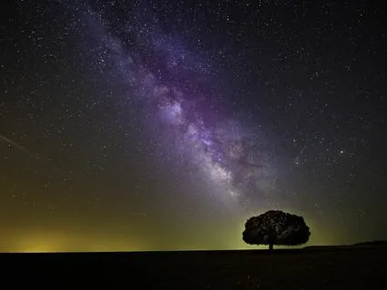 Deep Sleep - Velvet Night