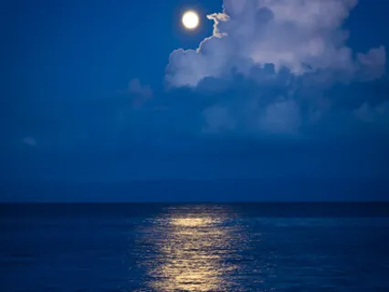 Deep Sleep Visualization