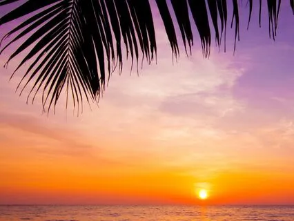 Deep Sleep Visualization