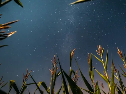 Deep Sleep - Weight Loss 