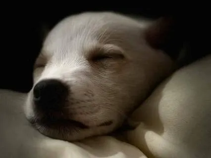 Deep Sleep White Noise - 8 Hours For Uninterrupted Sleep