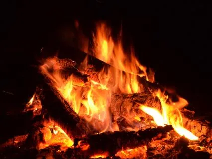 Deep Sleep with Frogs by the Fire for 10 Hours