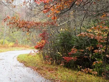 Deep Sleep With Rain & Instruments | 30-Min Studio-Recorded