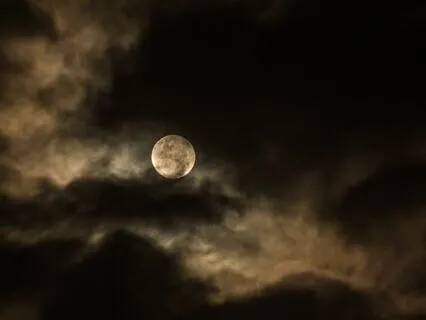 Deep Sleep With Rain