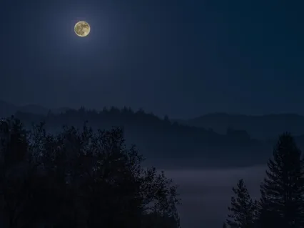 Deep Sleep With Singing Bowls - 60 Minutes