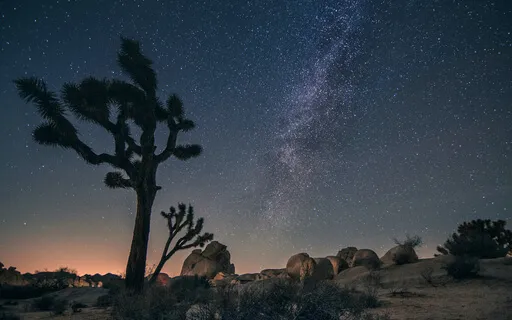 Deep Sleep Yoga Nidra For Throat Chakra Healing 