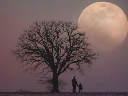 Deep Sleep Yoga Nidra: Quiet A Racing Mind With Moonlight