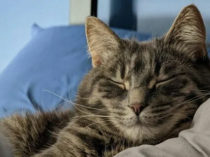 Deep Sleep Yoga Nidra