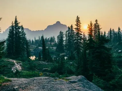 Deep Soul Healing Transmission | Shamanic Drumming