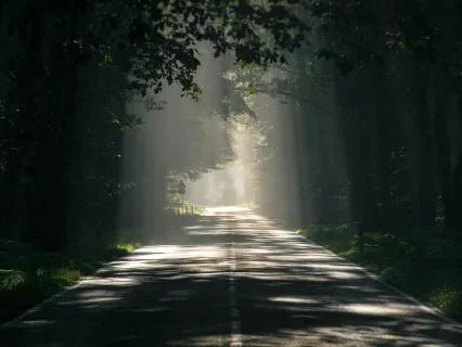 Deep Therapeutic Sleep Meditation For All Night Rest