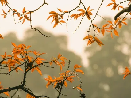 Deep Theta Meditation  |  10''