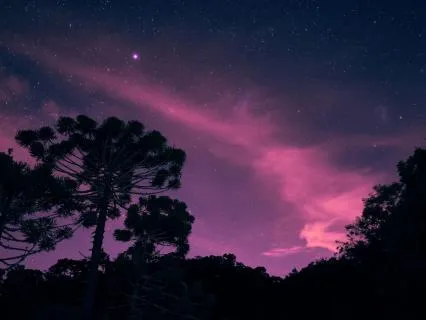 Deep Theta Sleep: Dream Journey: Soundscape For Calm & Relax