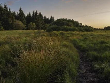 Deep Tranquil Relaxation Music