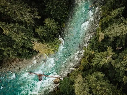 Deep Trust For The Earth